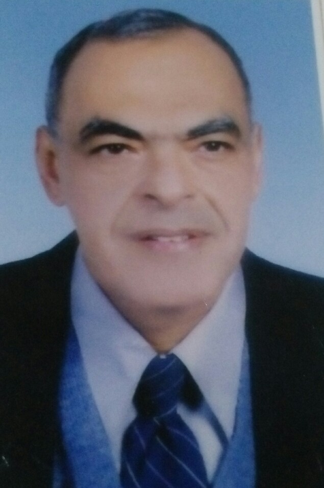 Prof. Abdelhay Mohamed