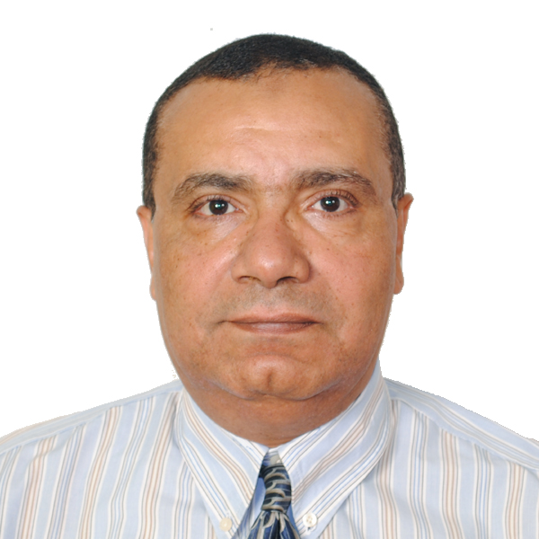 Prof. Emad Abdelghany