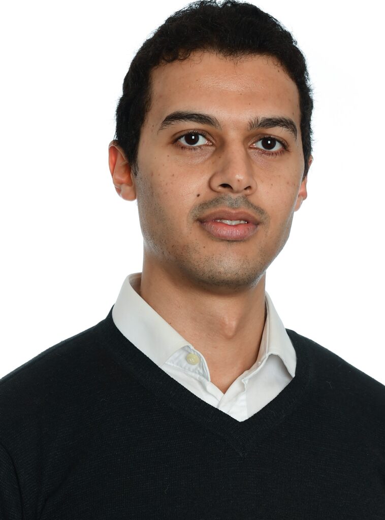 Ahmed Adel Awad Shafie