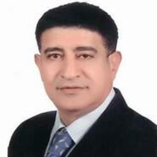 Osama Mohamed El-Ghandour