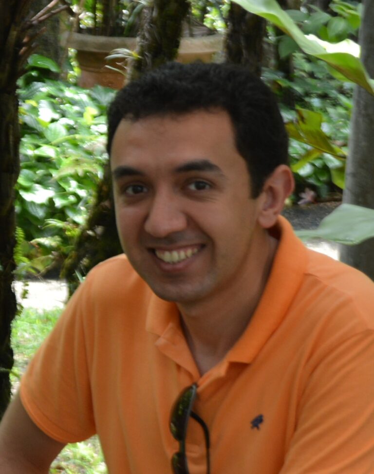 Amr Salah El-Din Hashem