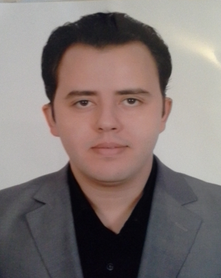 Amr Wagih Ali Mohamed