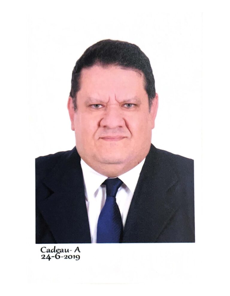 Hesham Mahmoud Zareef Amin Badr